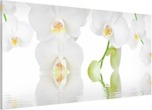 Magnettafel Blumen - Querformat 2:1 Orchideen Wellness Orchidee