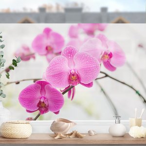 Fensterfolie Nahaufnahme Orchidee