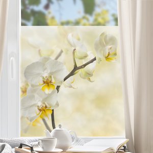 Fensterfolie Orchideen Zweig
