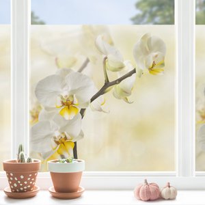 Fensterfolie Orchideen Zweig