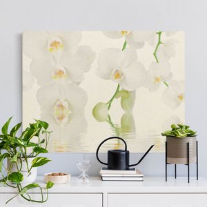 Leinwandbild auf Naturcanvas Wellness Orchidee - Weiße Orchidee