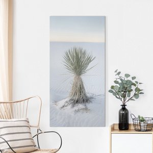 Leinwandbild Yucca Palme in weißem Sand