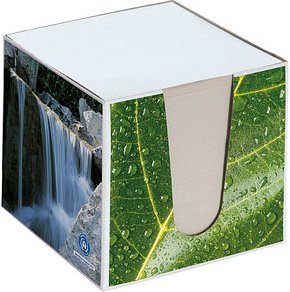 folia Zettelbox grün inkl. 650 Notizzettel weißgrau