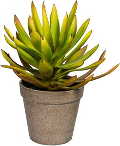 Creativ green Künstliche Zimmerpflanze "Deko-Sukkulente Aloe plicatilis"