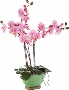 I.GE.A. Kunstpflanze "Orchidee"
