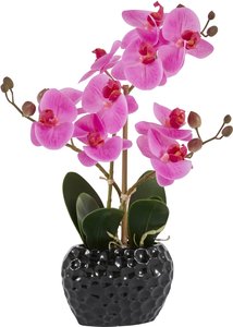 Leonique Kunstpflanze "Orchidee", (1 St.), Kunstorchidee, im Topf