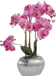 Home affaire Kunstpflanze "Orchidee"