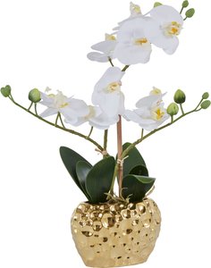 Leonique Kunstpflanze "Orchidee", Kunstorchidee, im Topf