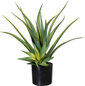 Creativ green Künstliche Zimmerpflanze "Deko-Sukkulente Aloe"