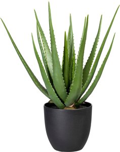 Creativ green Künstliche Zimmerpflanze "Aloe"