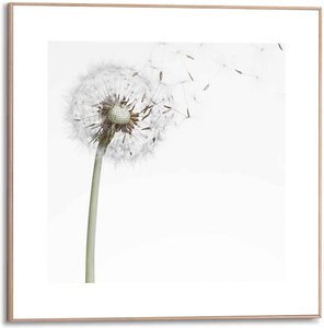 Reinders Bild "Gerahmtes Bild Pusteblume", Blumen, (1 St.)