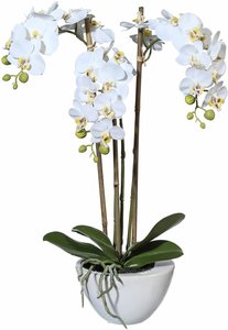 Creativ green Kunstpflanze "Mini Orchidee", (1 St.)