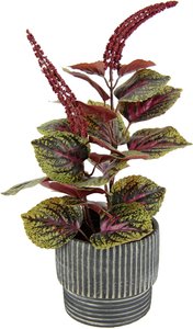 I.GE.A. Kunstpflanze "Zwergpfeffer", (2 St.), Mit Übertopf Peperomie Kunstpflanze Kunstpflanze Herbstdeko
