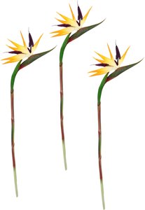I.GE.A. Kunstblume "Künstliche Blume Strelitzie Paradiesvogelblume Exotischer Dekozweig"