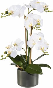 Creativ green Kunstpflanze "Orchidee"