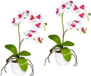 Creativ green Kunstpflanze "Orchidee Phalaenopsis", im Keramiktopf