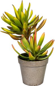 Creativ green Künstliche Zimmerpflanze "Deko-Sukkulente Aloe plicatilis"