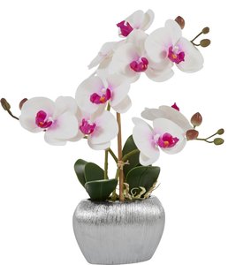Home affaire Kunstpflanze "Orchidee"