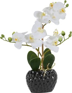 Leonique Kunstpflanze "Orchidee"