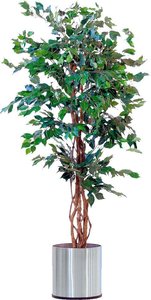 Schneider Kunstpflanze "Ficus Benjamini"