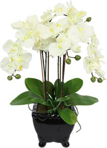 I.GE.A. Kunstblume "Künstliche Orchidee in Schale Phalaenopsis Kunstblume Blume"
