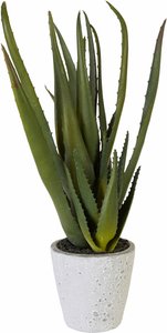Creativ green Kunstpflanze "Aloe", (1 St.)