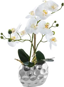 Leonique Kunstpflanze "Orchidee", (1 St.), Kunstorchidee, im Topf