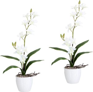 Creativ green Kunstpflanze "Orchidee Dendrobie", im Keramiktopf