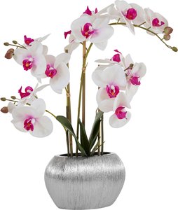 Home affaire Kunstpflanze "Orchidee", (1 St.), Kunstorchidee, im Topf