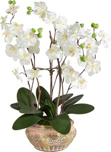 Schneider Kunstpflanze "Orchidee", (1 St.)