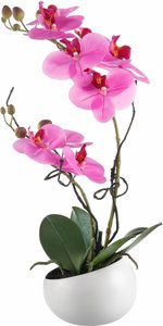 Creativ green Kunstpflanze "Orchidee"