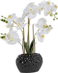 Leonique Kunstpflanze "Orchidee"