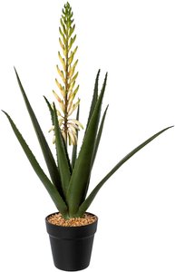 Creativ green Künstliche Zimmerpflanze "Aloe mit Blüte im Topf"