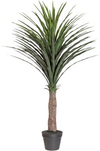 Creativ green Kunstpalme "Palme Yucca", im Kunststofftopf