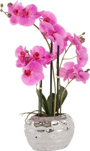 Leonique Kunstpflanze "Orchidee", Kunstorchidee, im Topf