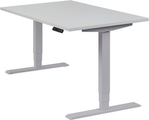 Höhenverstellbarer Schreibtisch "Homedesk", silber, Tischplatte 120 x 80 cm lichtgrau, elektrisch höhenverstellbar, Stehschreibtisch, Tischgestell