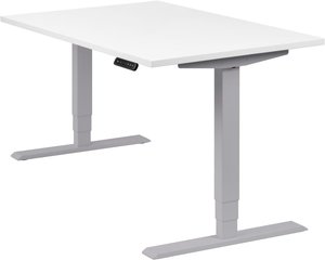 Höhenverstellbarer Schreibtisch "Homedesk", Silber, Tischplatte weiß – 120x80 cm, elektrisch höhenverstellbar, Stehschreibtisch, Tischgestell
