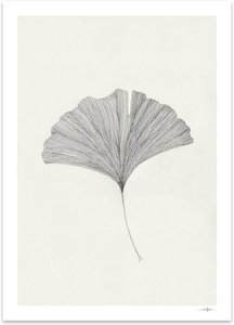 The Poster Club - Ginkgo Leaf von Ana Frois, 50 x 70 cm