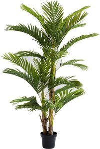 Deko Pflanze Palm Tree 190cm