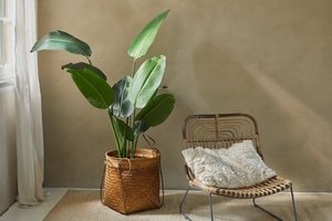 Lifa Living Strelitzia Kunstpflanze - Plastik Zimmerpflanze - Dekorative Kunstpflanze - Grünpflanze mit Topf - Künstliche Pflanze für den Innenbereich - ca. 160 cm