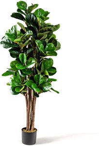 Coast 1,5 m künstlicher Feigenbaum Kunstpflanzen Decipper Lance Zimmerpflanze mit Blumentopf