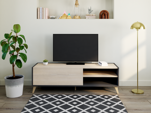 TV-Möbel mit 1 Tür & 2 Ablagen - Eichefarben & Anthrazit - KOLYMA