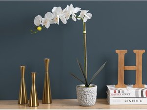 Kunstpflanze Orchidee mit Zementtopf - H. 60 - Weiß - FLORA