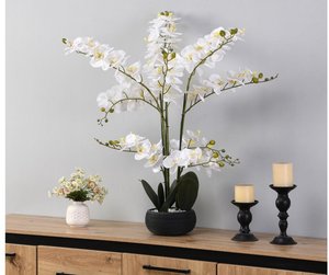 Kunstpflanze Orchidee mit Zementtopf - 65 x 54 cm- Weiß -TARA