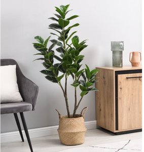 Kunstpflanze Calathea mit Topf - 150 cm - LUSAKE