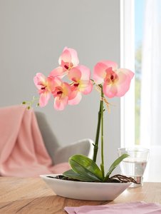 Deko-Orchidee Fuchsia