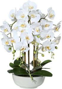 Kunstpflanze Orchidee Gasper, weiß