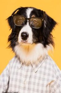 Notizbücher / Süßes Hunde Notizbuch Businessplaner Geschenkidee für Mann Frau und Kind