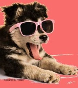 Notizbücher / Süßes Hunde Notizbuch Businessplaner Geschenkidee für Mann Frau und Kind