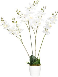 HOMCOM Künstliche Pflanze, Künstliche Orchidee, Kunstpflanze, Kunstblumen im Topf, Zimmerpflanze für Wohnzimmer, Schlafzimmer, 75 cm, Weiß
